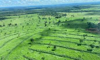 Imagem 7: Fazenda todo no corredor. 70 divisões; Rica em madeira; Rica em água; 02 rios; Rancho de p