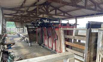 Imagem 6: Fazenda todo no corredor. 70 divisões; Rica em madeira; Rica em água; 02 rios; Rancho de p