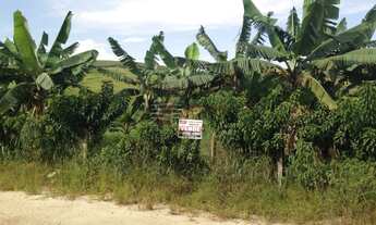 Imagem: Sítio a Venda no Guamirim em Caçapava