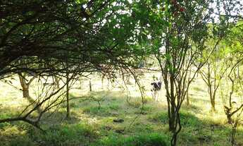 Imagem 5: Chácara a Venda no Boa Vista em Caçapava