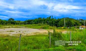 Imagem 4: Terreno a Venda na Piedade em Caçapava