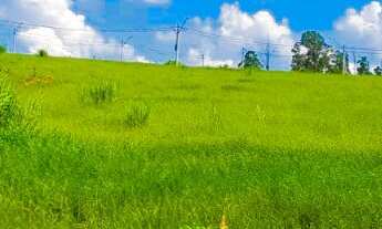 Imagem: Terreno em condomínio a Venda no Borda