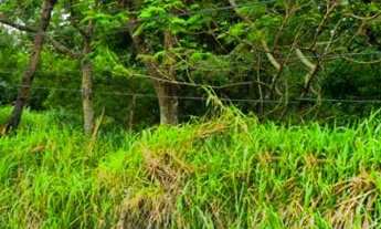 Imagem: Área a Venda no Santa Luzia em Caçapava