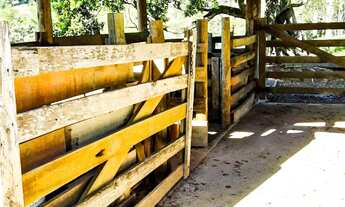 Imagem 5: Sítio a Venda em Paraibuna