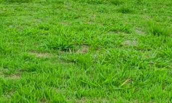 Imagem: Terreno em condomínio a Venda no Malibu