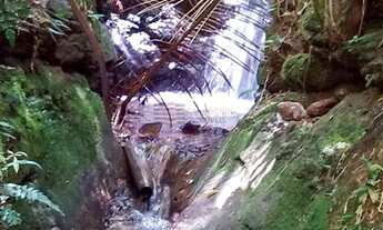 Imagem 3: Sítio a Venda no Pedregulho em Caçapava