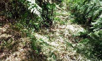 Imagem 6: Sítio a Venda no Pedregulho em Caçapava