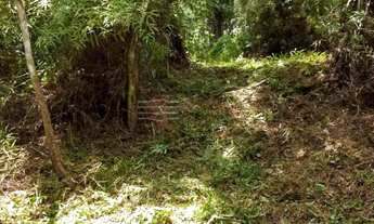 Imagem 5: Sítio a Venda no Pedregulho em Caçapava