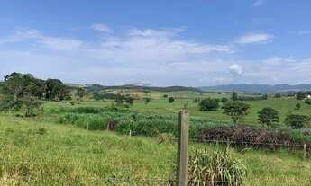 Imagem: Área a Venda no Pinus de Iriguassu II em