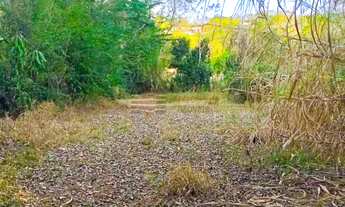 Imagem 5: Chácara a Venda no Guadalupe Caçapava