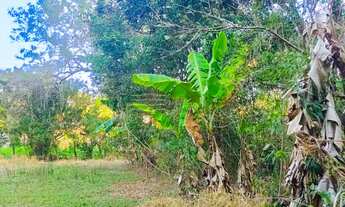 Imagem 2: Chácara a Venda no Guadalupe Caçapava