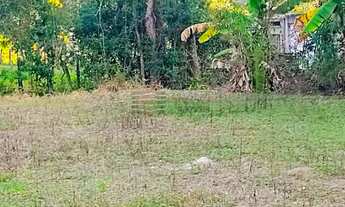 Imagem 3: Chácara a Venda no Guadalupe Caçapava