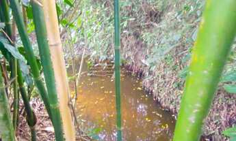 Imagem 7: Chácara a Venda no Guadalupe Caçapava