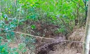 Imagem 6: Chácara a Venda no Guadalupe Caçapava