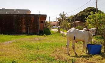 Imagem: 360M² de Área Total