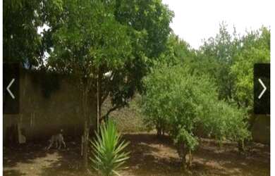 Imagem 7: CHÁCARA COM PISCINA E CHURRASQUEIRA EM ARAÇOIABA