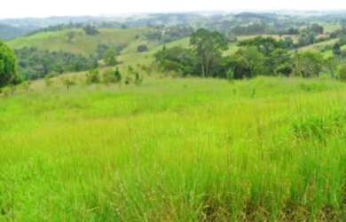 Imagem 3: ÁREA RESIDENCIAL OU COMERCIAL EM ITAPETININGA