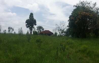 Imagem 6: ÁREA RESIDENCIAL OU COMERCIAL EM ITAPETININGA