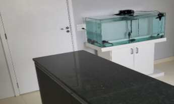 Imagem 4: APARTAMENTO A VENDA EM SP CAMBUCI