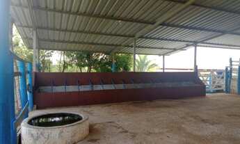 Imagem 5: 3 dormitórios, 1 suítes, 3 banheiro, 7 vagas na garagem, 780000M² de Área Construída