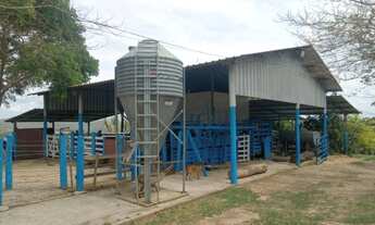 Imagem 2: 3 dormitórios, 1 suítes, 3 banheiro, 7 vagas na garagem, 780000M² de Área Construída