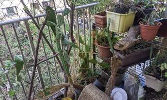 Imagem 4: APARTAMENTO RESIDENCIAL em RIO DE JANEIRO - RJ, TIJUCA