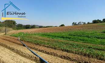 Imagem 7: Sítio com 172.244,50m² - Cosmópolis - São Paulo-Eli House Imóveis - creci 26326-J