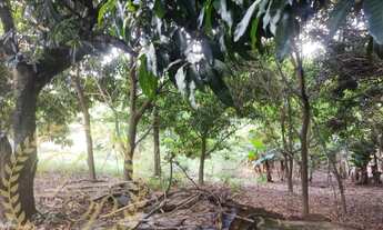 Imagem: Chácara a venda em Jundiai, chácara a