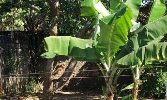 Imagem: CASA SALÃO COMERCIAL NA PONTE SÃO JOÃO