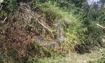 Imagem 4: SITIO RURAL em MOGI DAS CRUZES - SP, taiaçupeba