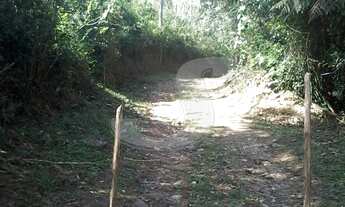 Imagem 6: SITIO RURAL em MOGI DAS CRUZES - SP, taiaçupeba