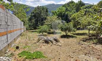 Imagem 2: CHACARA EM BIRITIBA