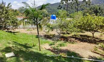 Imagem 4: CHACARA EM BIRITIBA