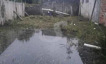 Imagem 2: CHACARA BIRITIBA MIRIM