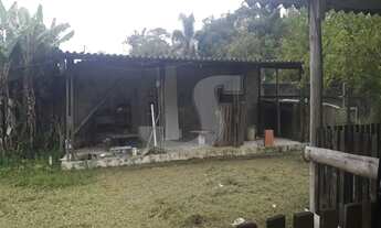 Imagem 6: CHACARA BIRITIBA MIRIM