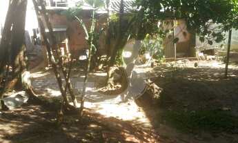 Imagem 2: TERRENO CAPUTERA, 487M² de Área Total