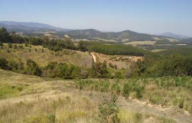 Imagem 5: TERRENO em Pedra Bela - SP, Limas