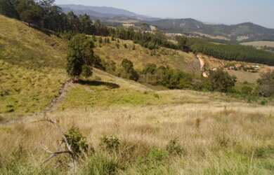 Imagem 2: TERRENO em Pedra Bela - SP, Limas