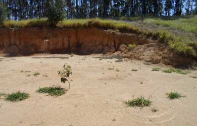 Imagem 4: TERRENO em Pedra Bela - SP, Limas