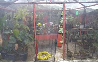 Imagem 4: CHÁCARA em Pedra Bela - SP, Miranda