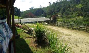 Imagem 5: TERRENO em Pedra Bela - SP, Limas