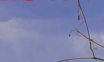 Imagem 7: Flat RESIDENCIAL em SÃO PAULO - SP, JARDIM PAULISTA