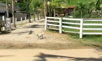 Imagem 1: , 3 dormitórios na Estrada Geral Dos Macacos