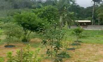 Imagem 3: , 3 dormitórios na Estrada Geral Dos Macacos