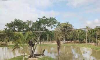 Imagem 4: , 453M² de Área Construída na Avenida Jacarandã