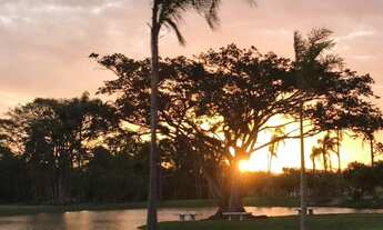 Imagem 7: , 453M² de Área Construída na Avenida Jacarandã