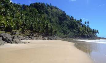 Imagem: FAZENDA FAZENDA em ITACARÉ - BA, CENTRO