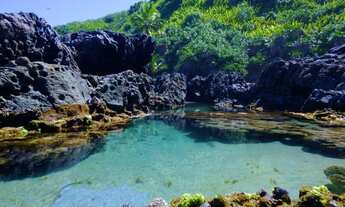 Imagem 3: FAZENDA FAZENDA em ITACARÉ - BA, CENTRO