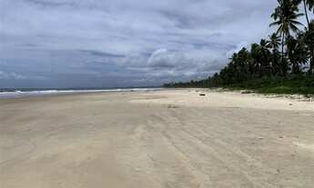 Imagem: SITIO RURAL em ILHÉUS - BA, PONTA DA TULHA