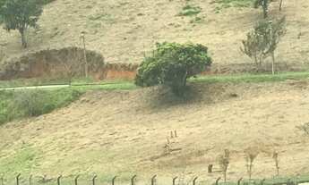 Imagem 3: TERRENO RESIDENCIAL em MACAÉ - RJ, LAGOA